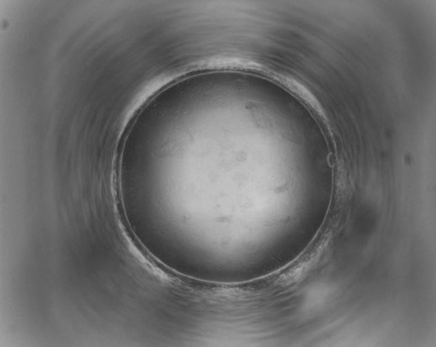 X0000067490847200604071202