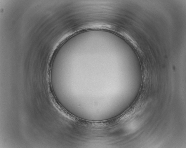 X0000067490848200604071202