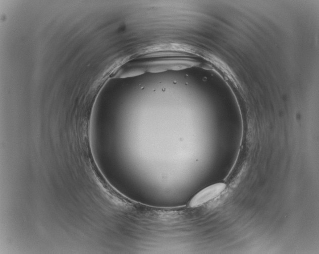 X0000067490849200604071202