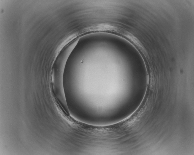 X0000067490850200604071202