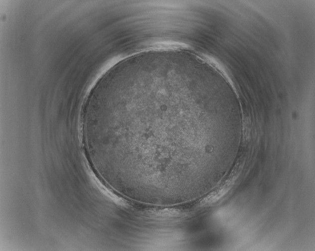 X0000067490851200604071202