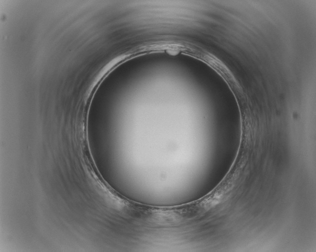 X0000067490852200604071202