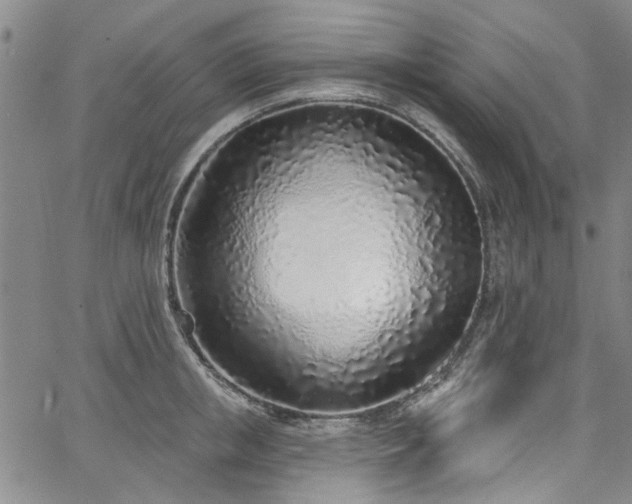 X0000067490853200604071202