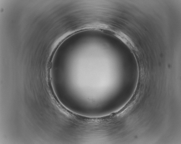 X0000067490854200604071202