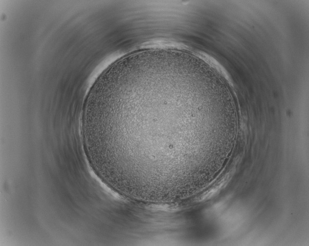 X0000067490855200604071202