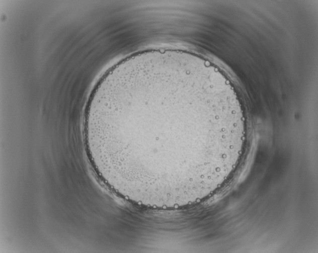 X0000067490856200604071202