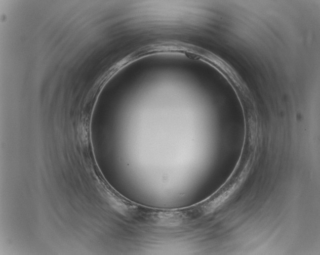 X0000067490857200604071202