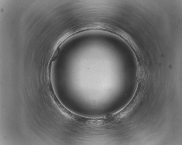 X0000067490858200604071202