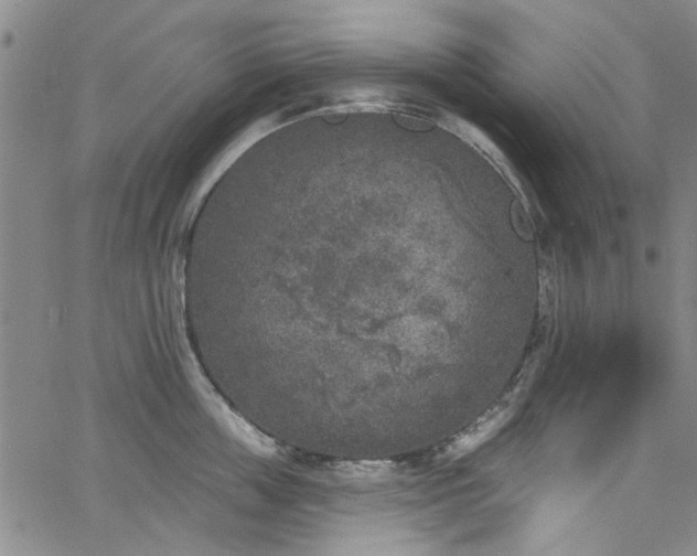 X0000067490859200604071202