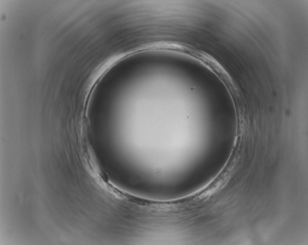 X0000067490860200604071202