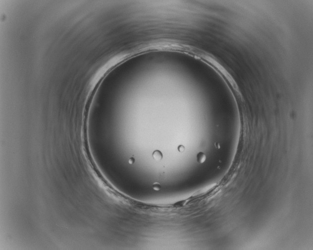 X0000067490861200604071202