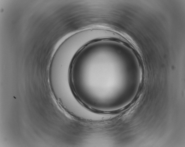 X0000067490862200604071202