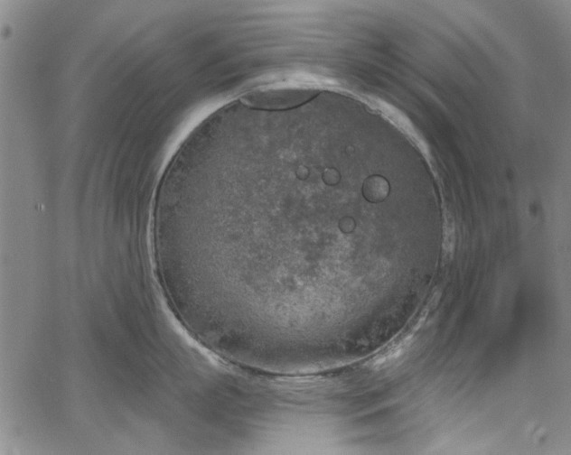 X0000067490863200604071202