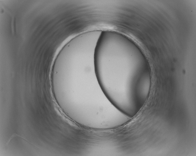 X0000067490864200604071202