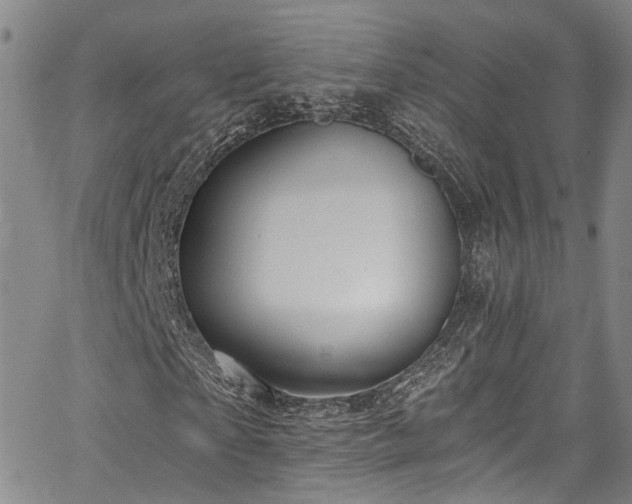 X0000067490865200604071201