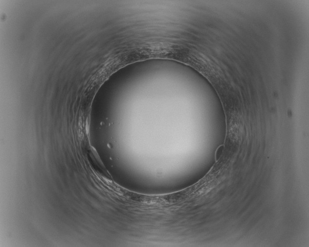 X0000067490866200604071201