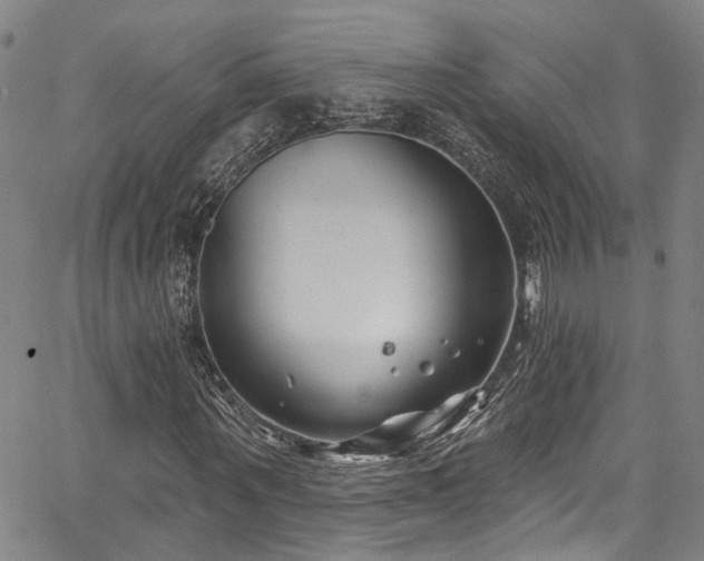 X0000067490867200604071201