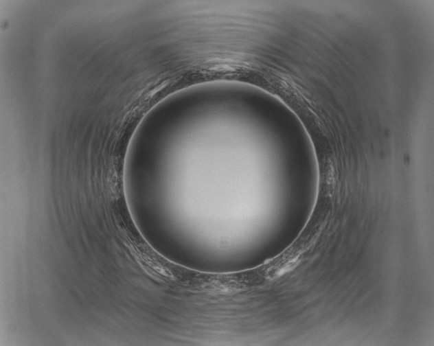 X0000067490868200604071201