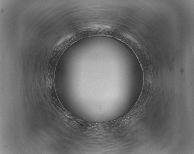 X0000067490869200604071201