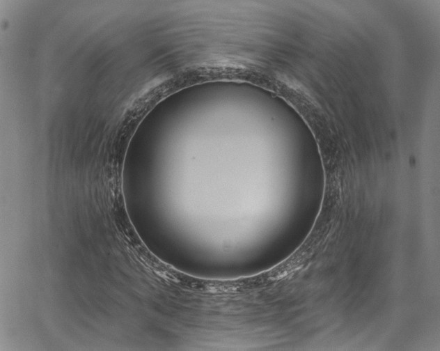 X0000067490870200604071201