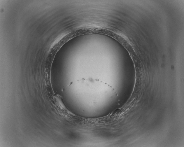 X0000067490871200604071201