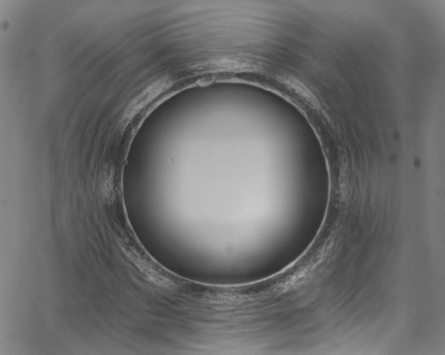 X0000067490873200604071201