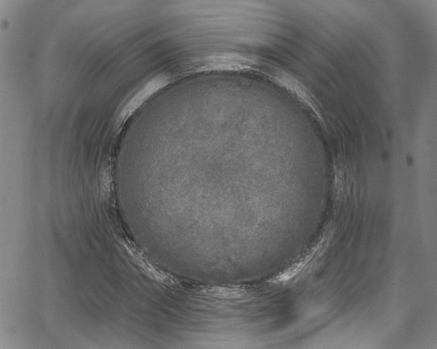 X0000067490874200604071201