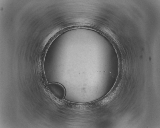 X0000067490875200604071201