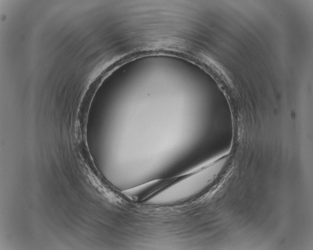 X0000067490876200604071201