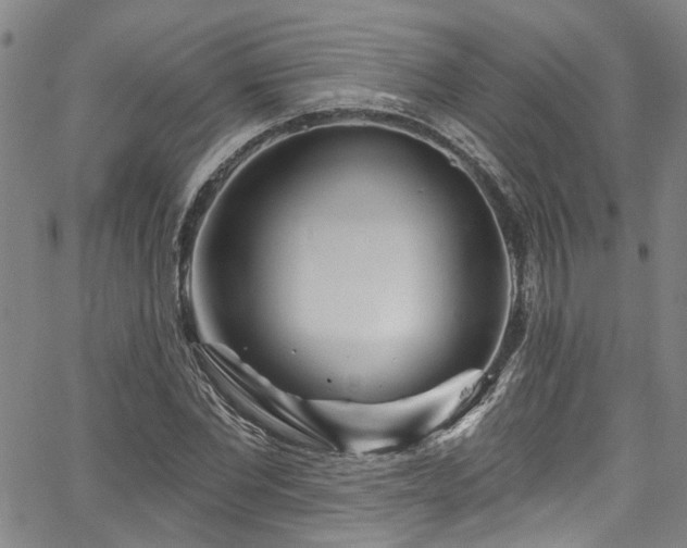 X0000067490877200604071201