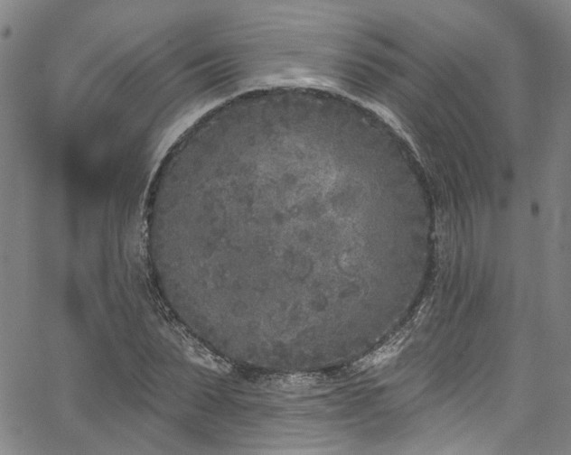 X0000067490879200604071201