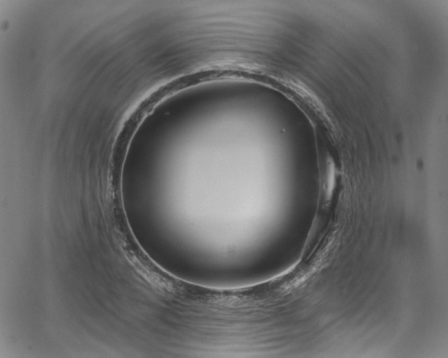 X0000067490880200604071201