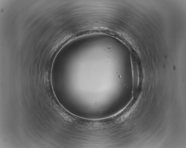 X0000067490881200604071201