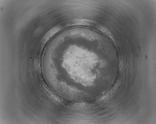 X0000067490882200604071201