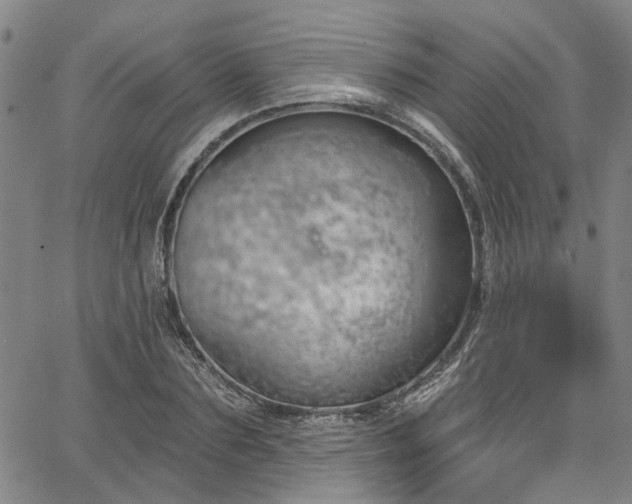 X0000067490883200604071201