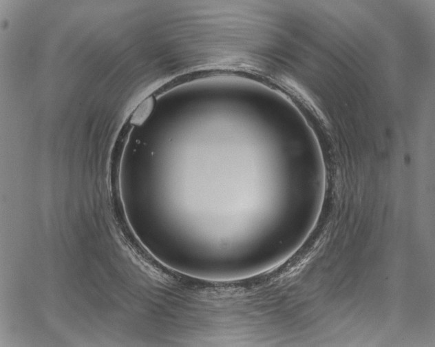 X0000067490884200604071201