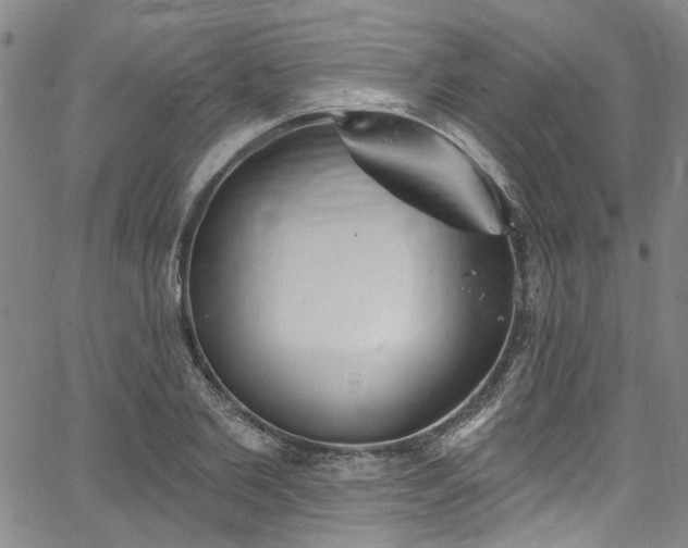 X0000067490885200604071201