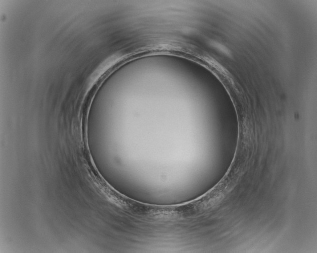 X0000067490886200604071201