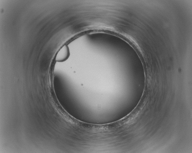 X0000067490887200604071201