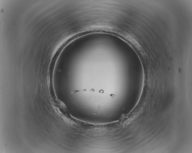 X0000067490888200604071201