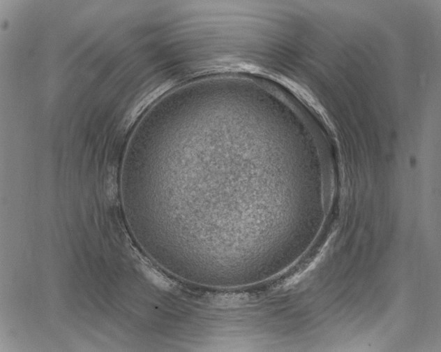 X0000067490889200604071201