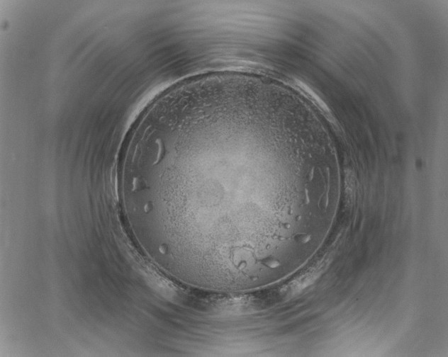 X0000067490891200604071201