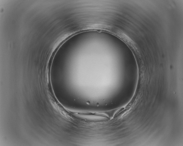 X0000067490892200604071201