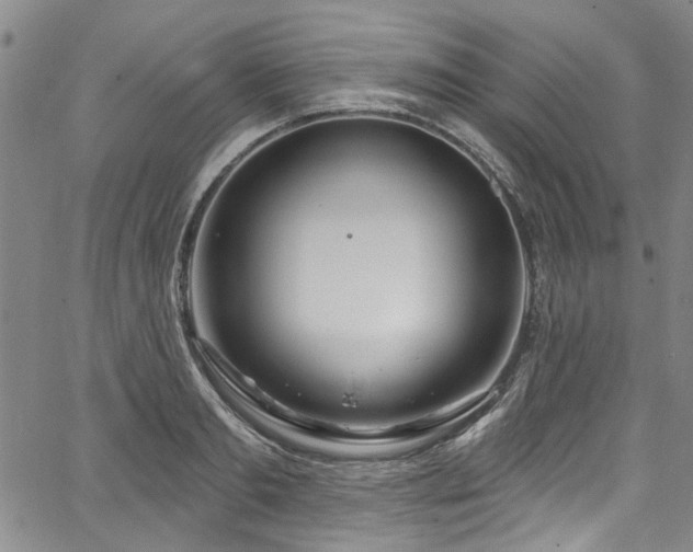 X0000067490893200604071201