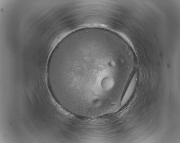 X0000067490895200604071201