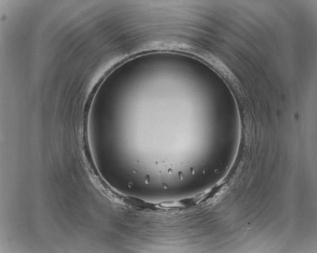 X0000067490896200604071201