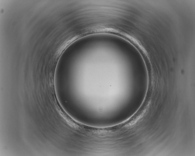 X0000067490897200604071201