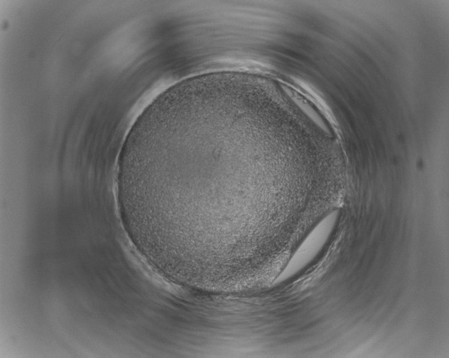 X0000067490899200604071201