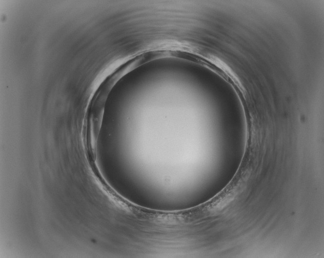 X0000067490901200604071201