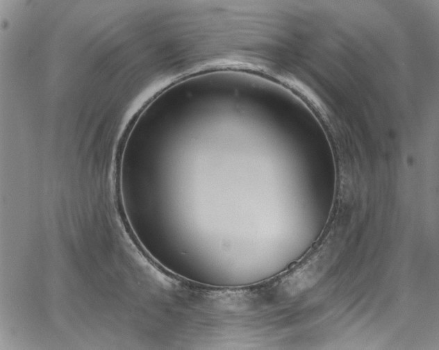 X0000067490902200604071201